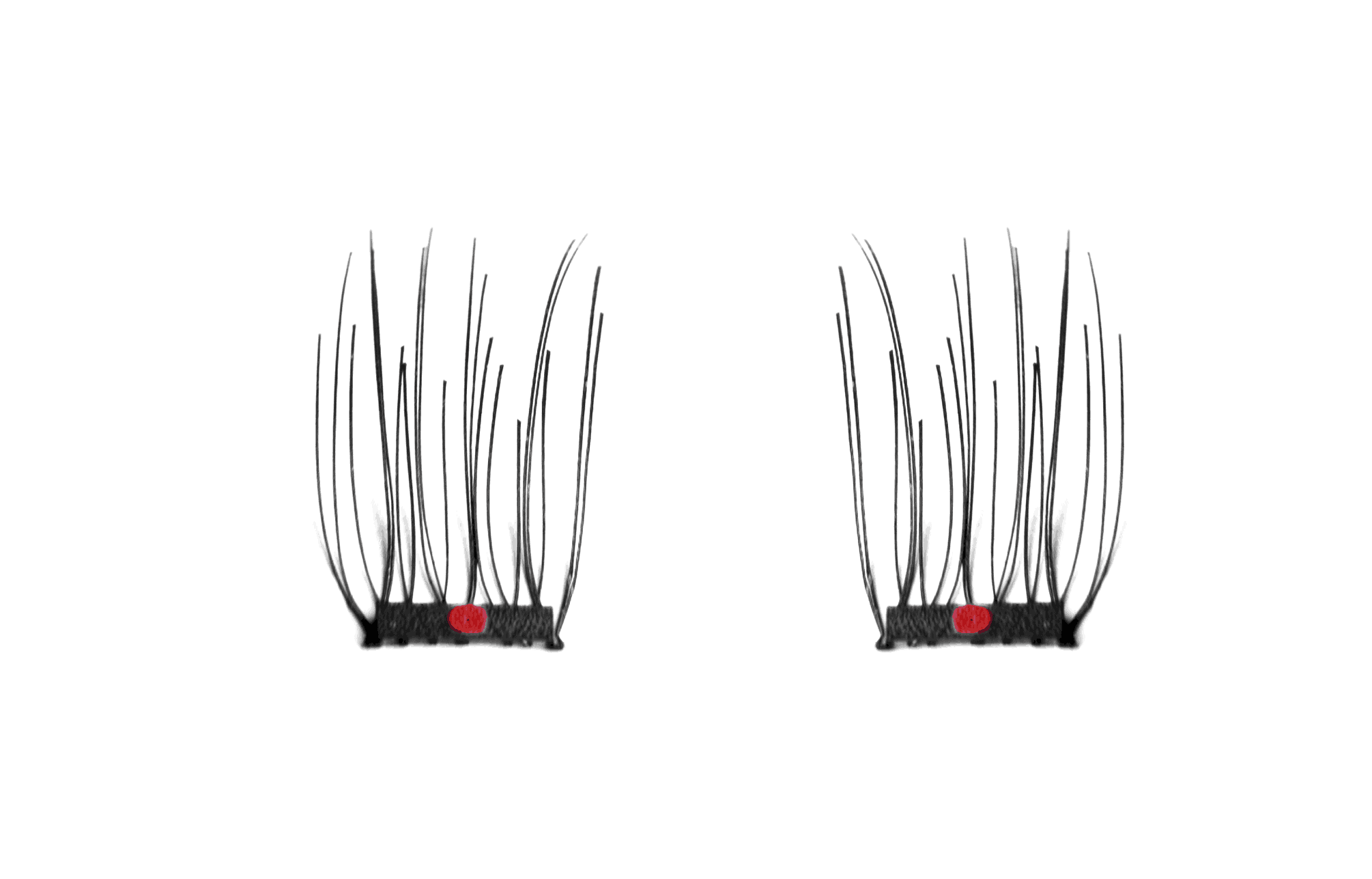 Accent Lash Accent Lash